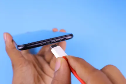 Kasino Mobile Wins Mobilní aplikace